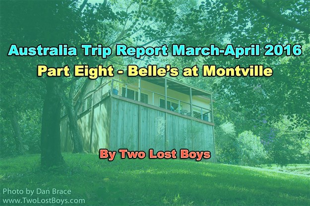 Australia March-April 2016 Trip Report, Part 8 - Belle's at Montville