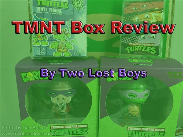 TMNT Box Review